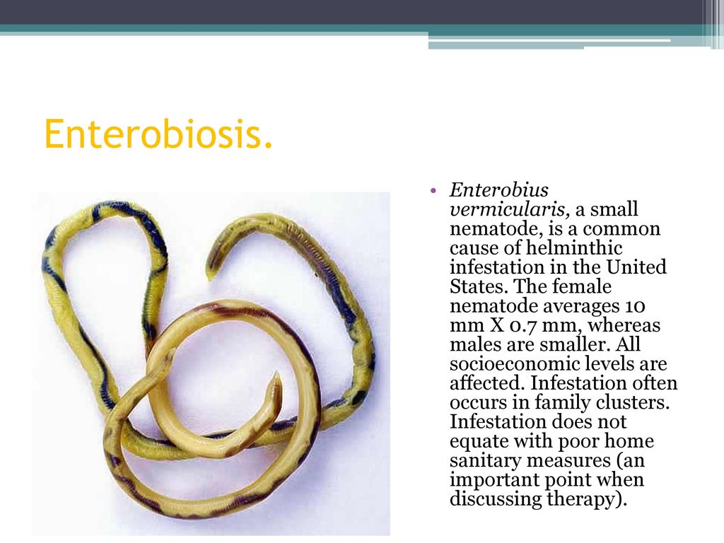 Enterobiosis perm - koronakor.hu