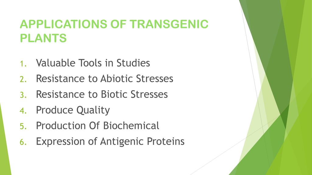 Transgenic Plants Ppt Download Transgenic Plants Ppt Download