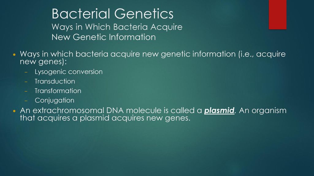 Bacterial Genetics Ways in Which Bacteria Acquire New Genetic Information