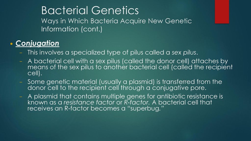 Bacterial Genetics Ways in Which Bacteria Acquire New Genetic Information (cont.)