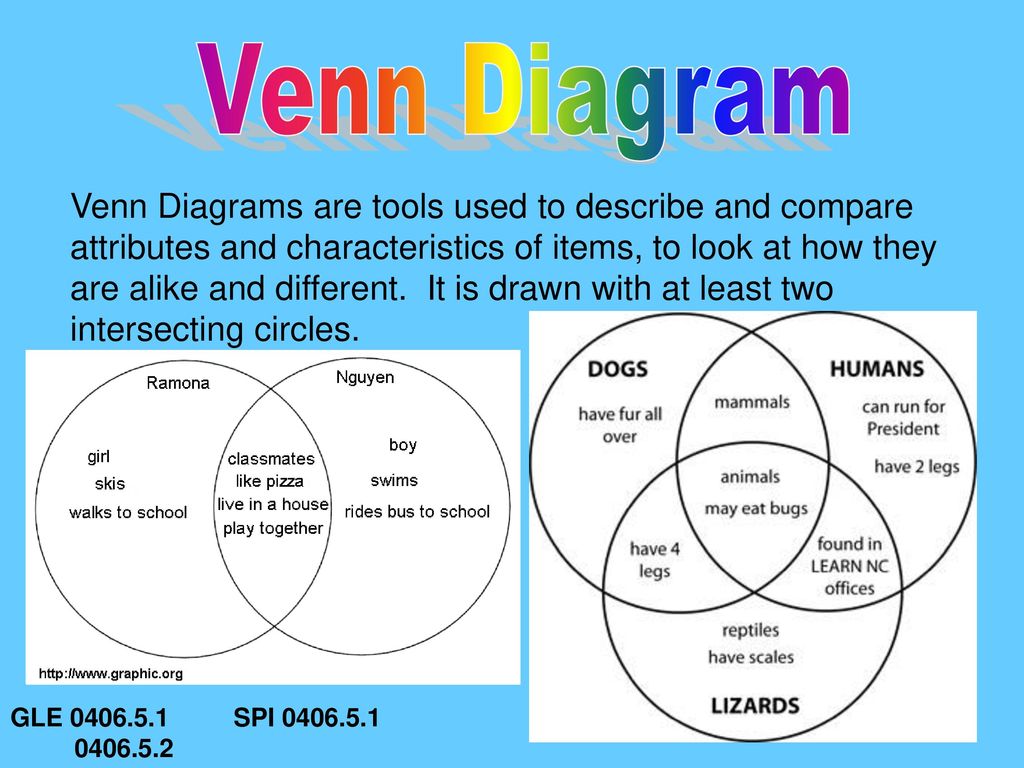 Венн диаграмма. Venn diagram. Диаграмма Венна на уроках английского языка. Круги Эйлера английский. Круги Эйлера на уроках английского.