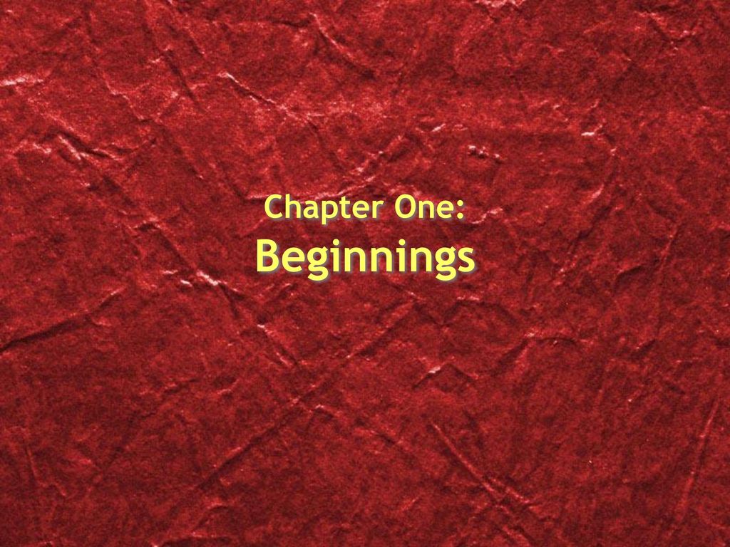 Chapter One: Beginnings