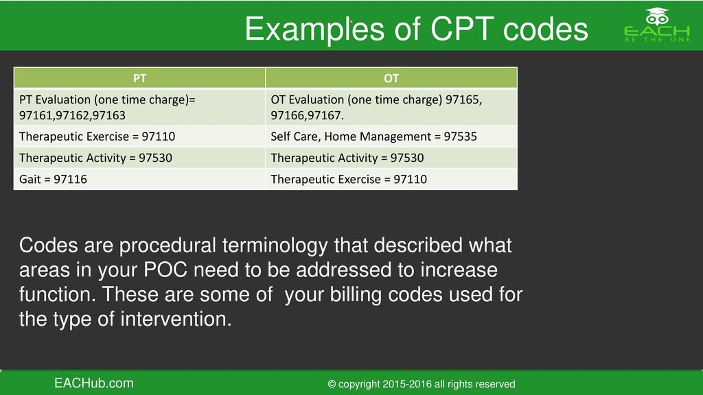Physical Therapy And Occupational Therapy Ppt Download