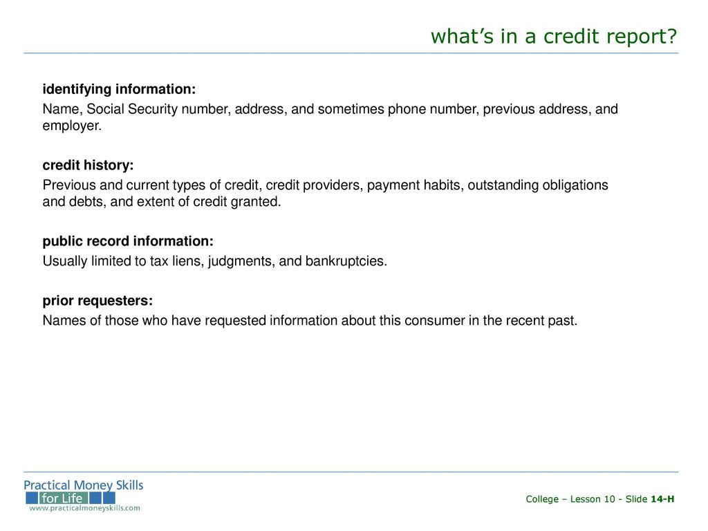 what’s in a credit report