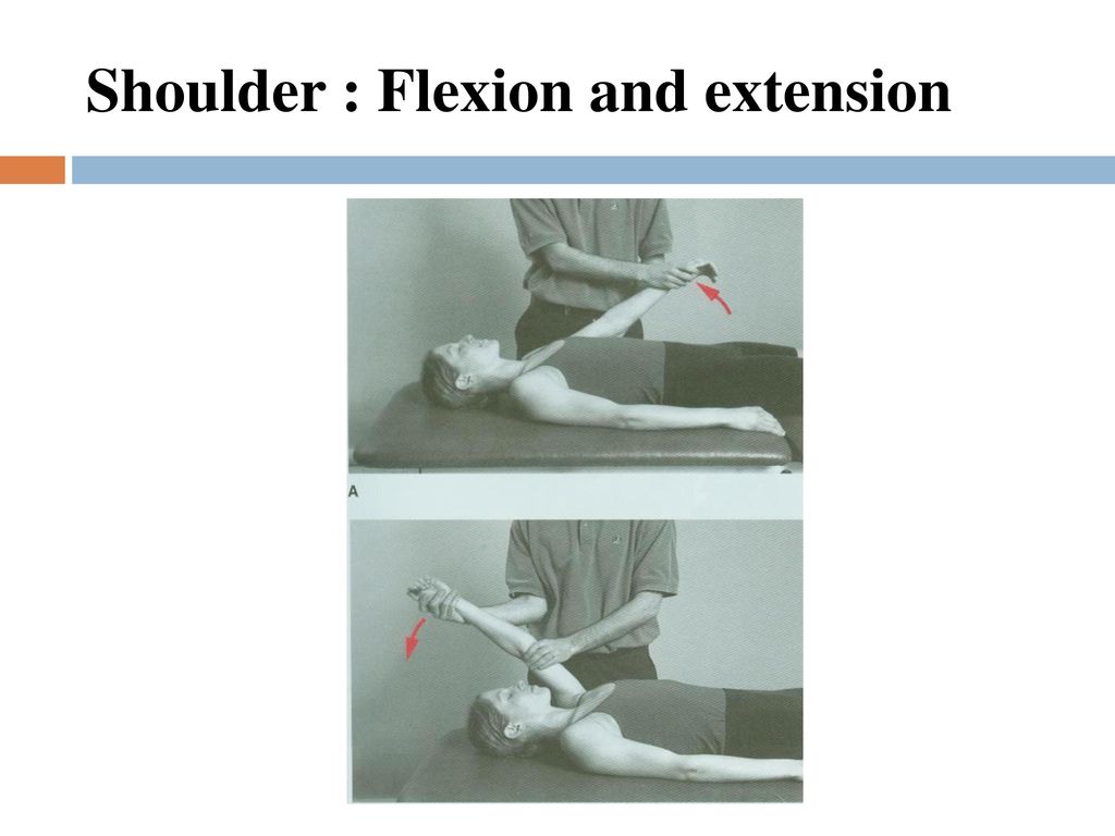 Shoulder : Flexion and extension