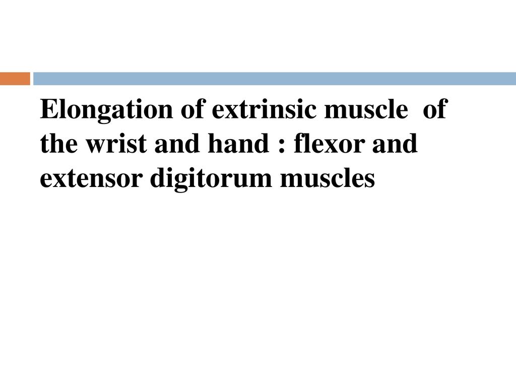 Elongation of extrinsic muscle of the wrist and hand : flexor and extensor digitorum muscles