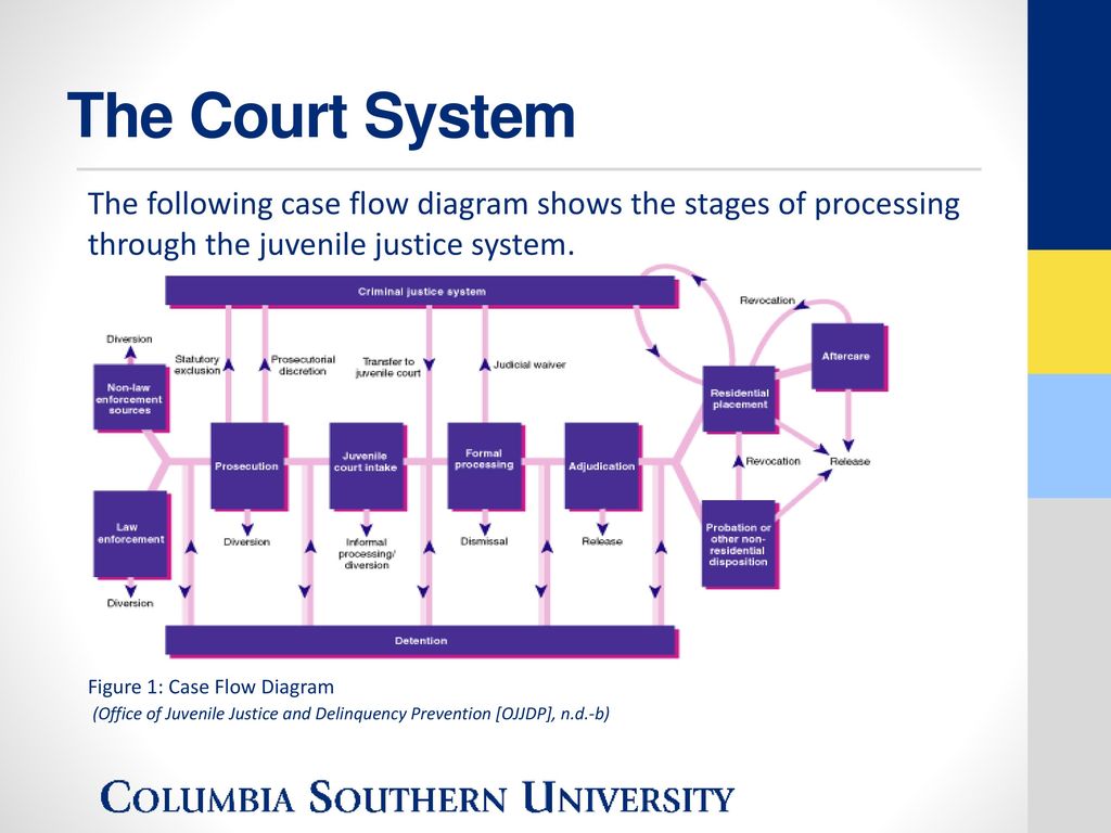 Juvenile Courtroom Process