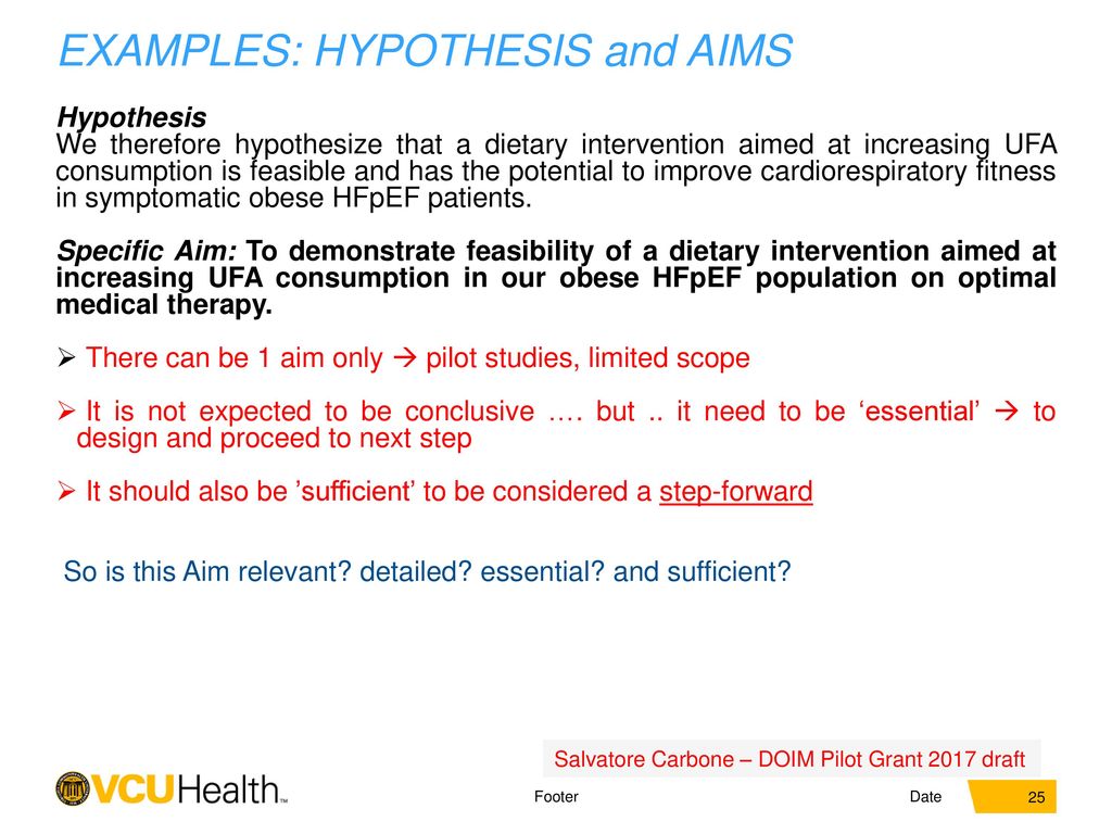 TRANSLATIONAL RESEARCH: REFINING THE HYPOTHESIS AND THE AIMS - ppt