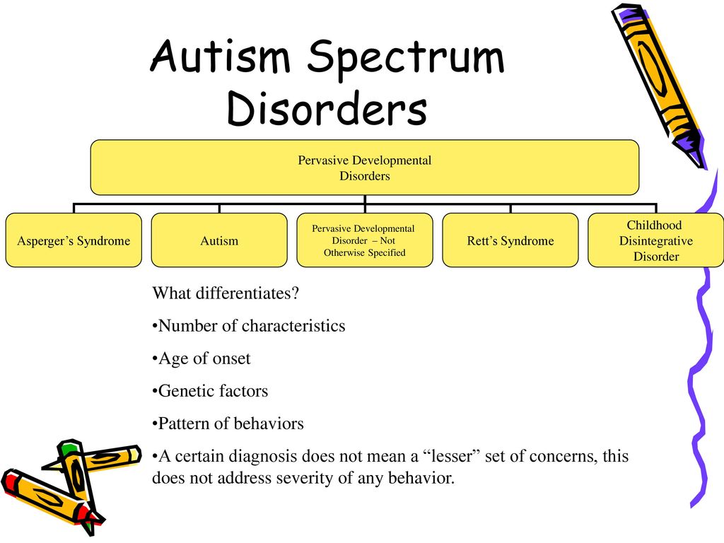 Autism 101: Basics, Strategies, & Questions - ppt download