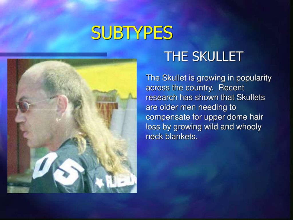 THE MULLET. ppt download