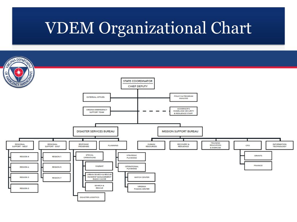 Vdem Organizational Chart