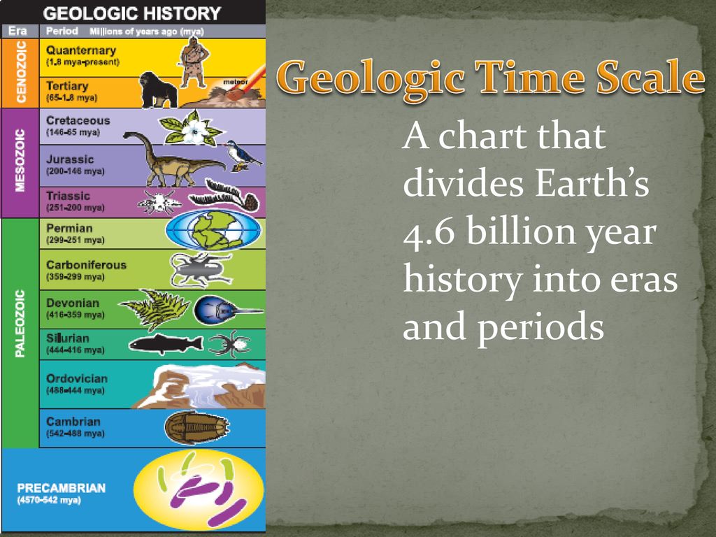 Geologic Time Scale A chart that divides Earth’s 4.6 billion year history into eras and periods