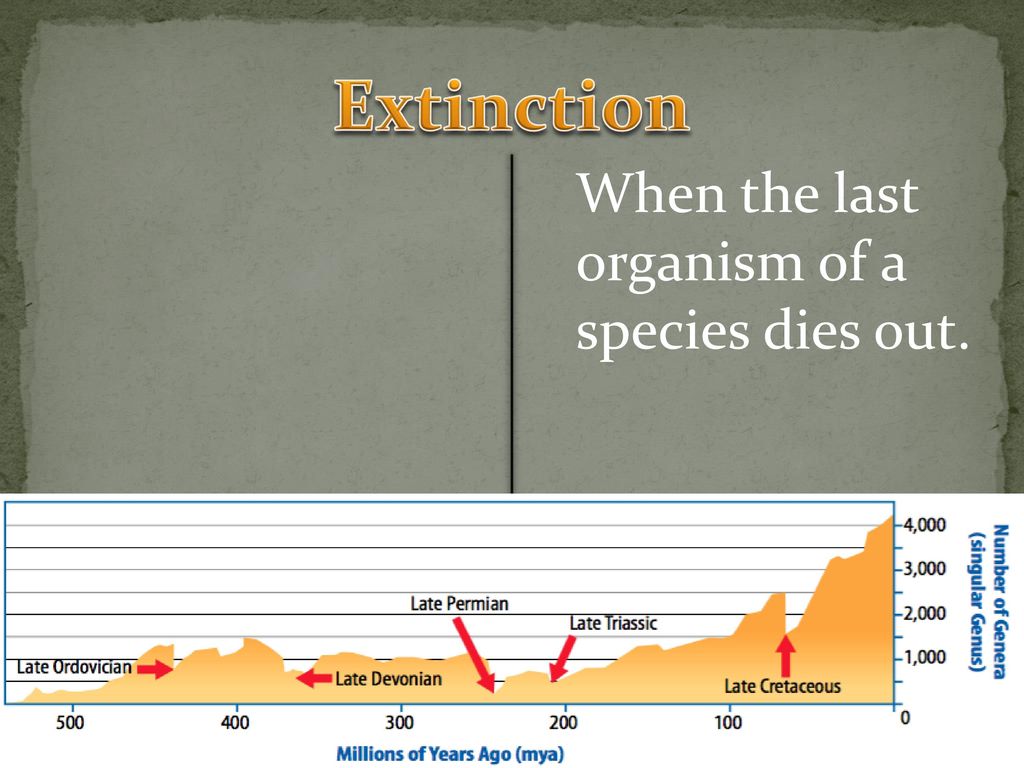 Extinction When the last organism of a species dies out.