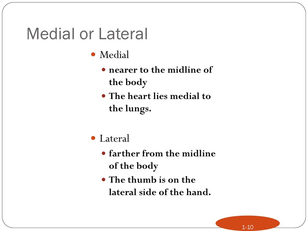 Medial or Lateral Medial Lateral nearer to the midline of the body