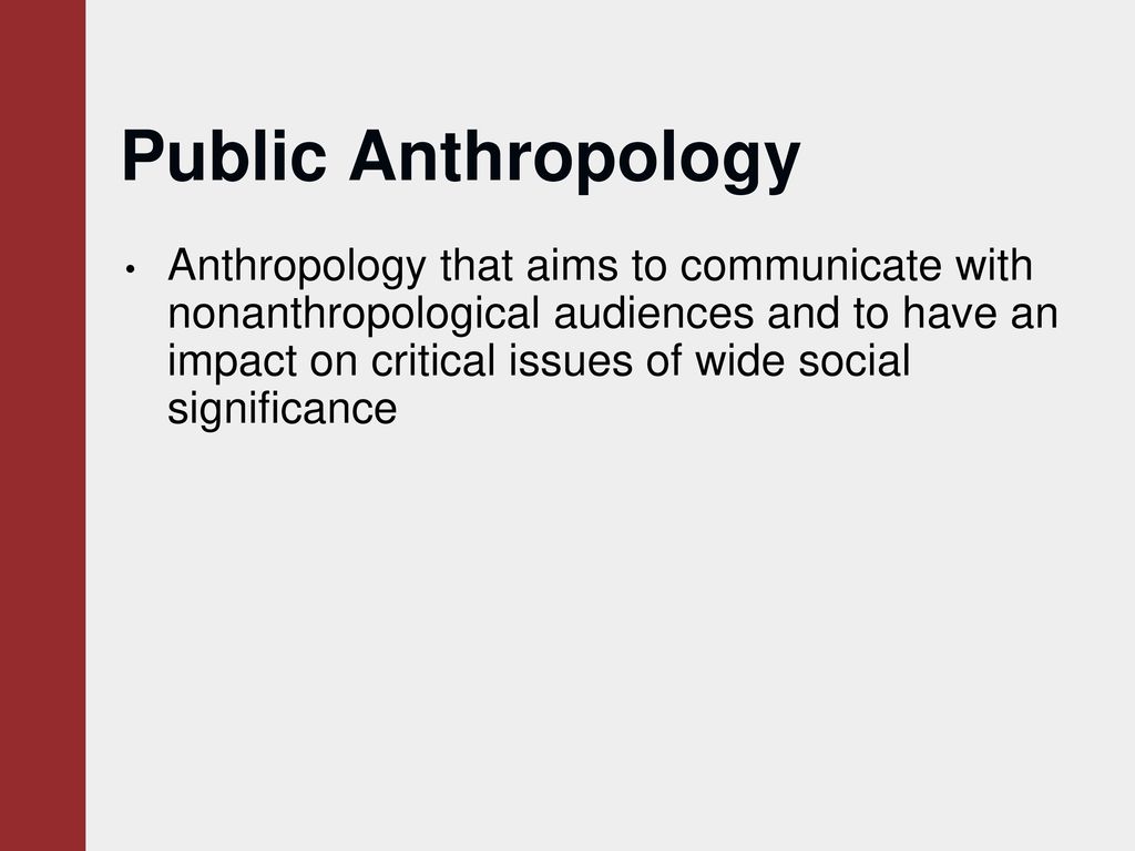 significance of anthropology
