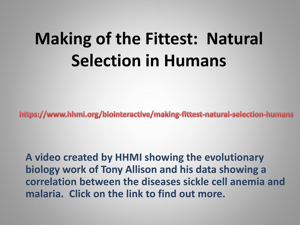 Period 4 Do Now Use The Concepts From The Lab To Write An Short Answer Explaining How Genetic Diversity For A Particular Trait Can Be Achieved In A Ppt Download Period 4 Do Now Use The Concepts From The Lab To Write An Short Answer Explaining How Genetic Diversity For A Particular Trait Can Be Achieved In A Ppt Download