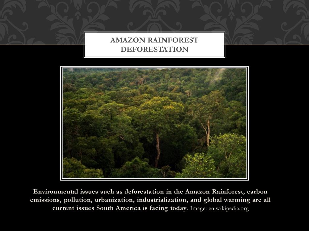 amazon river pollution issues