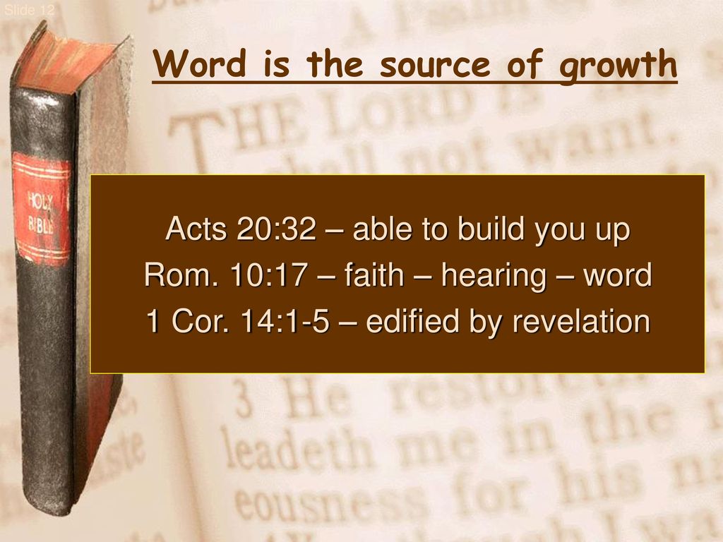 Word is the source of growth