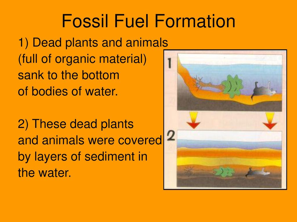 Top 83+ imagen how are fossil fuels formed Abzlocal.mx