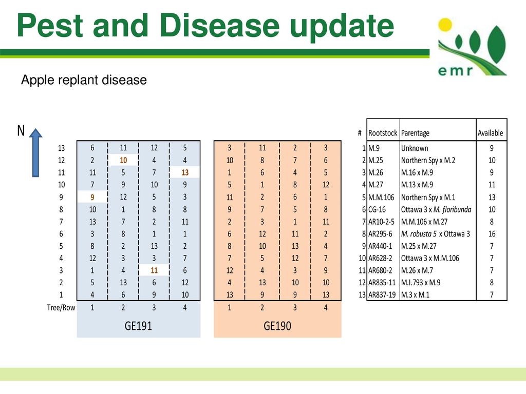 Pest and Disease update