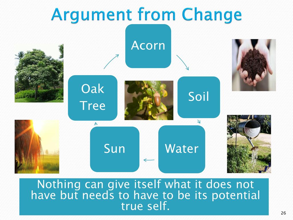 Argument from Change Acorn Oak Tree Soil Sun Water