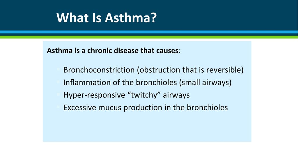 Asthma in the School Age Child - ppt download