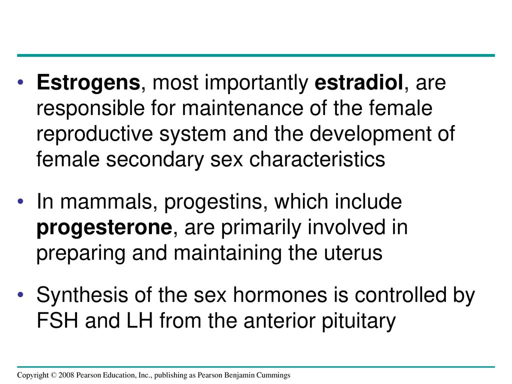 Estrogens, most importantly estradiol, are responsible for maintenance of the female reproductive system and the development of female secondary sex characteristics