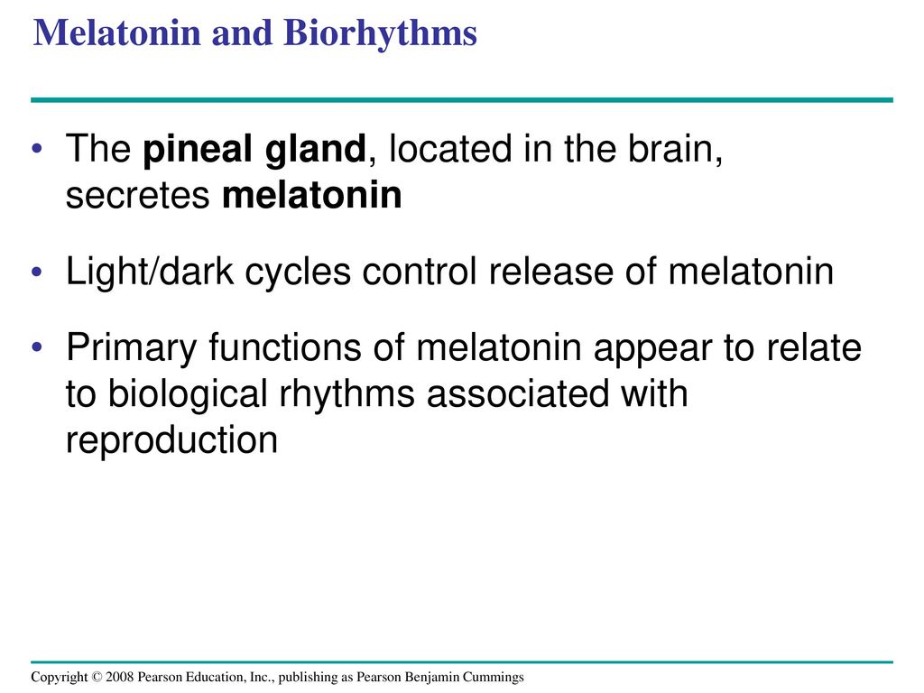 Melatonin and Biorhythms