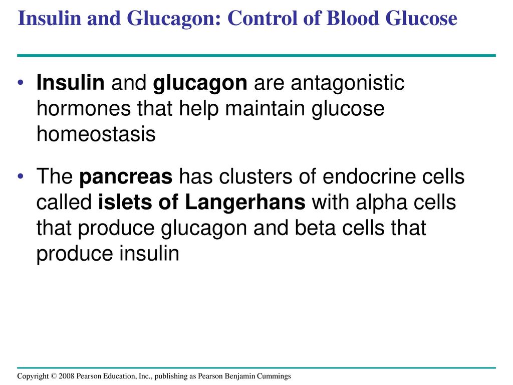 Insulin and Glucagon: Control of Blood Glucose