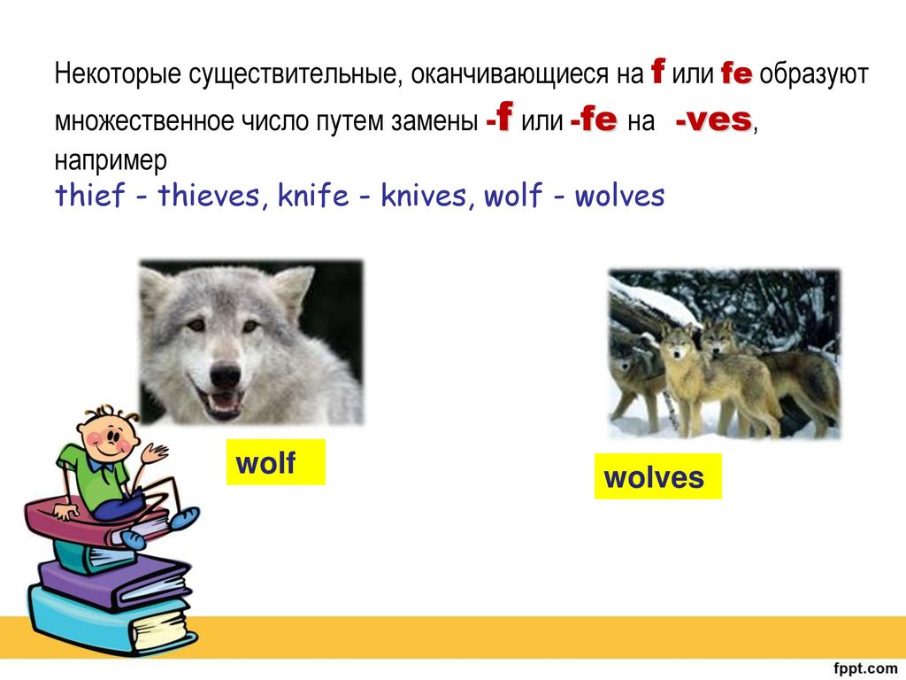 Слово wolf. Wolf Wolves множественное число. Wolf множественное число. Волк во множественном числе. Wolf во множественном числе на английском.