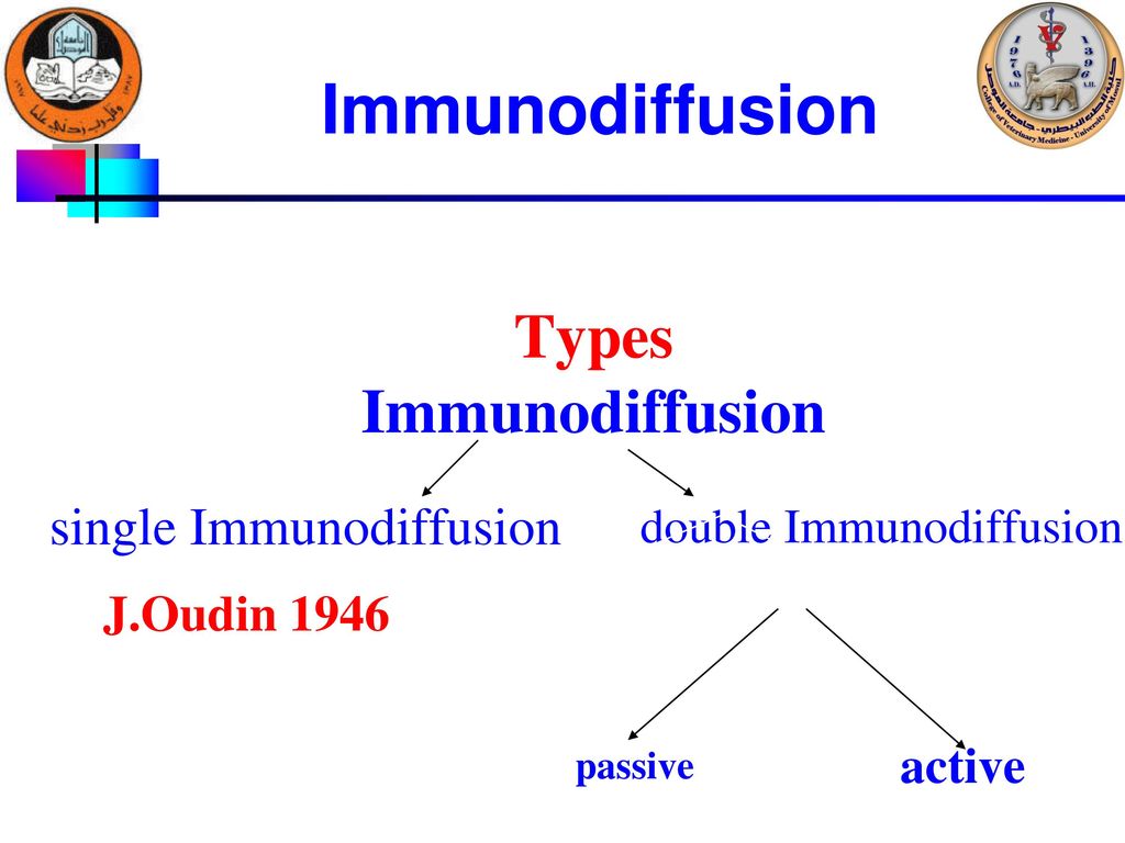Agar Gel Immunodiffusion (AGID) Test Principles and Techniques Prof.Dr.  Salah M. Hassan College of Veterinary Medicine University of Mosul. - ppt  download