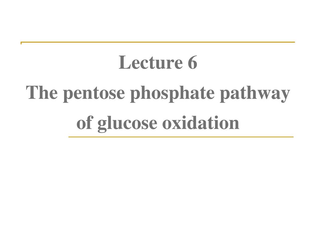 Lecture 6 The pentose phosphate pathway of glucose oxidation