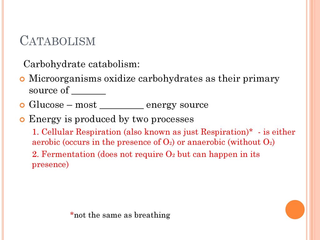 Catabolism Carbohydrate catabolism: