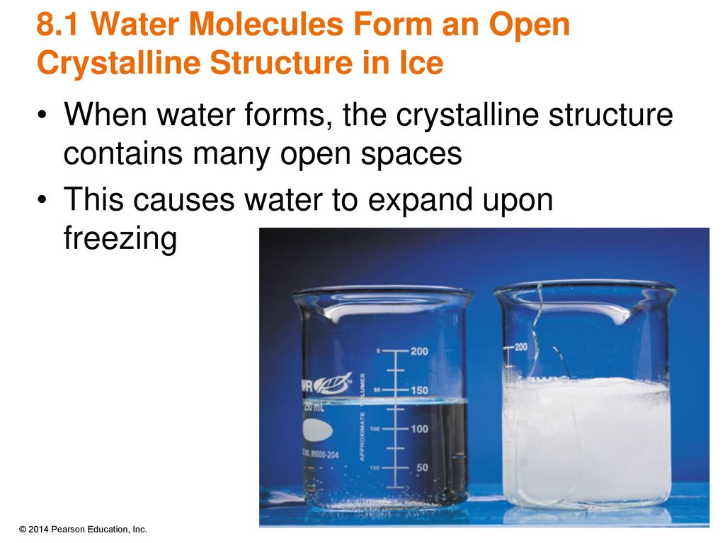 8.1 Water Molecules Form an Open Crystalline Structure in Ice