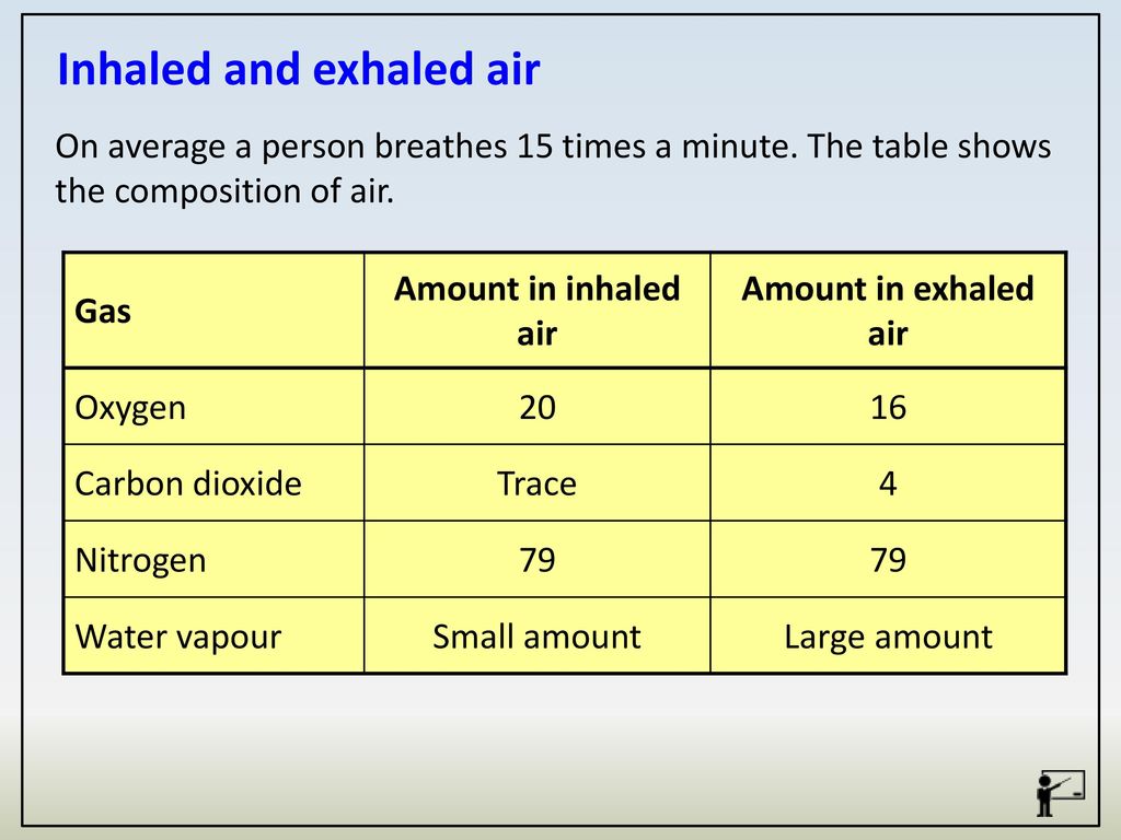 1-2-the-structure-and-function-of-the-respiratory-system-ppt-download