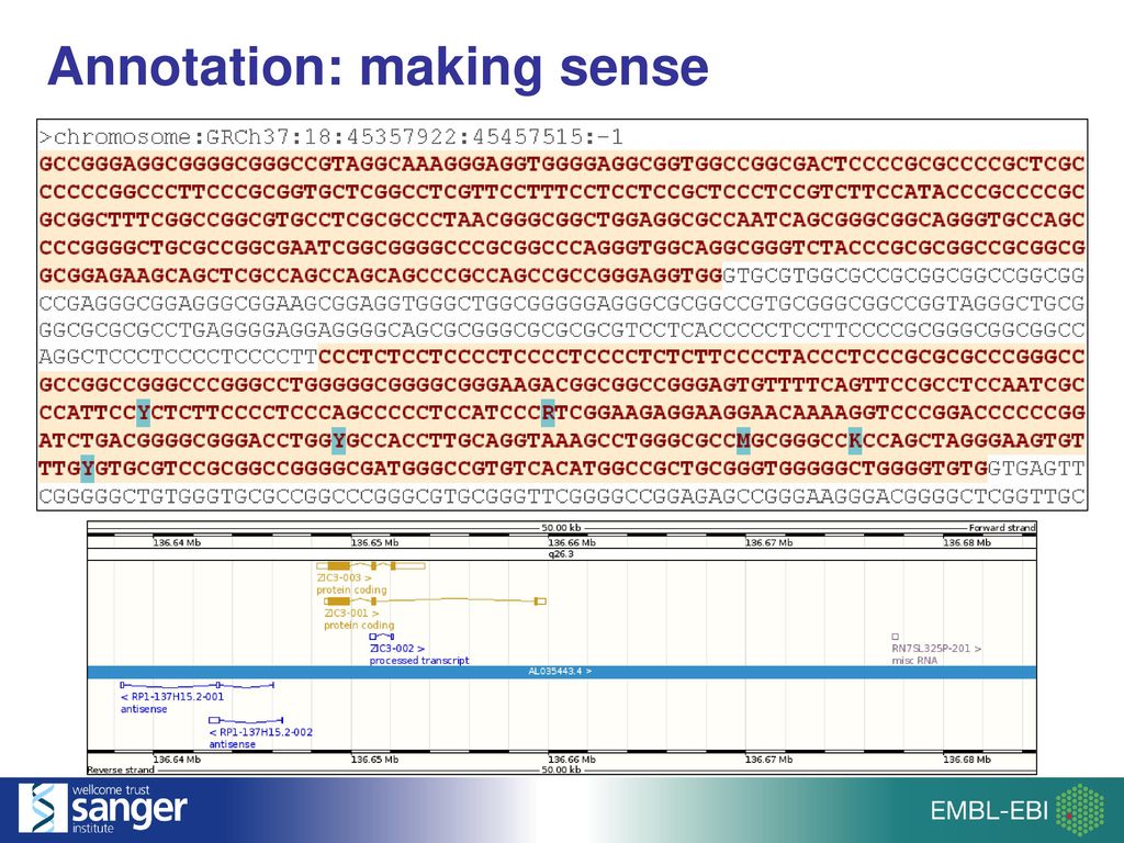 Denise Carvalho-Silva Ensembl Outreach - Ppt Download