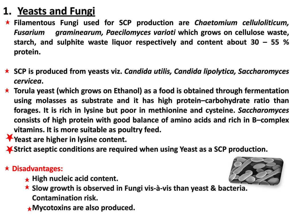 Scp PPT