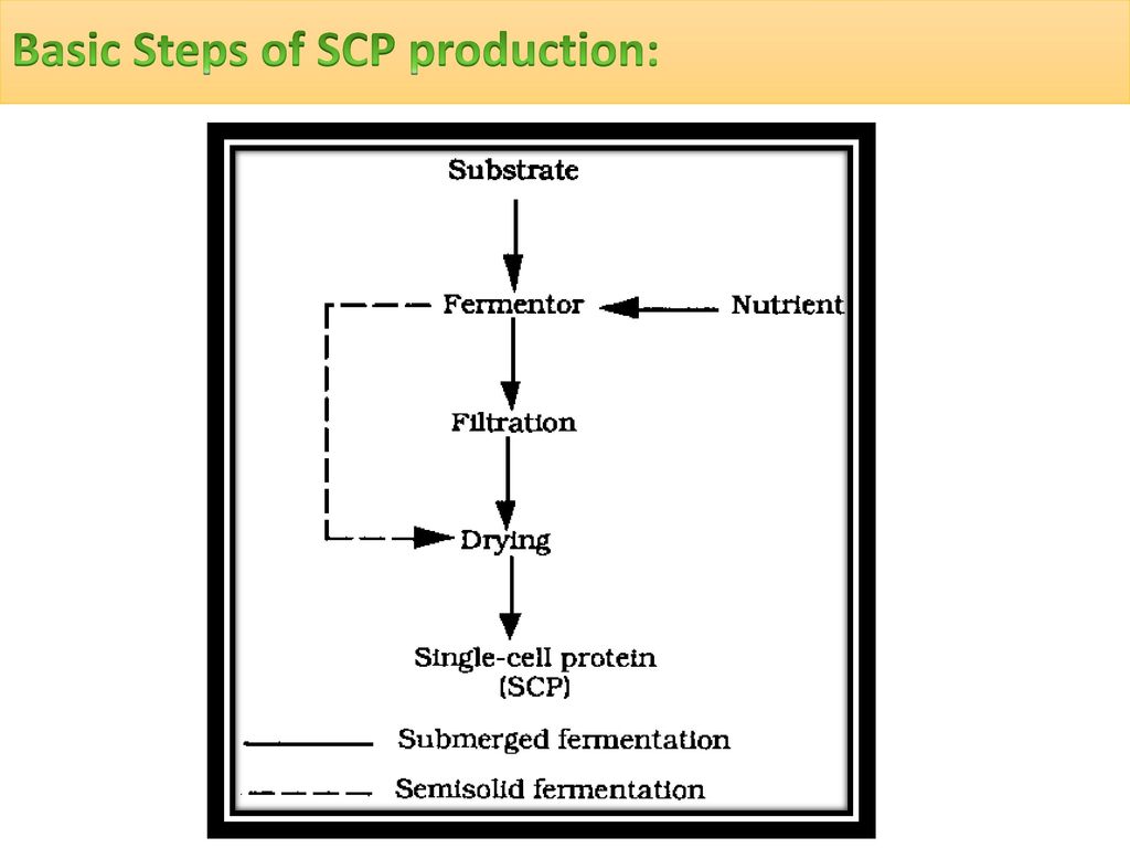 Scp  PPT