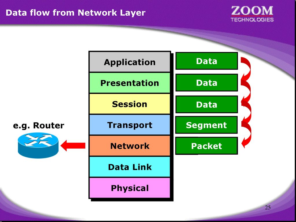 Data flow from Network Layer