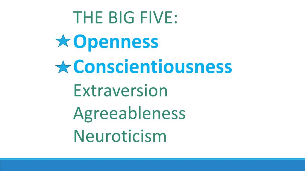 Political orientation is the form of conscious political thinking of a ...