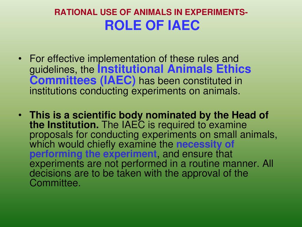RATIONAL USE OF ANIMALS IN EXPERIMENTS - ppt download