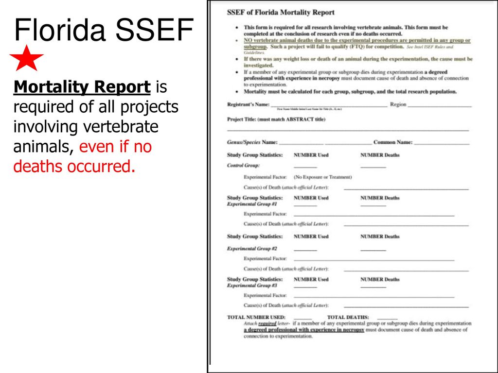 Florida State Science Engineering Fair Ppt Download