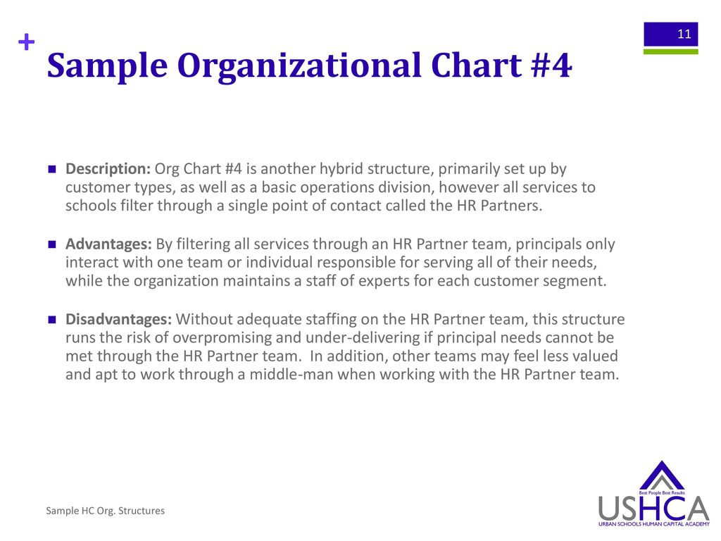 Hr Organizational Chart Sample