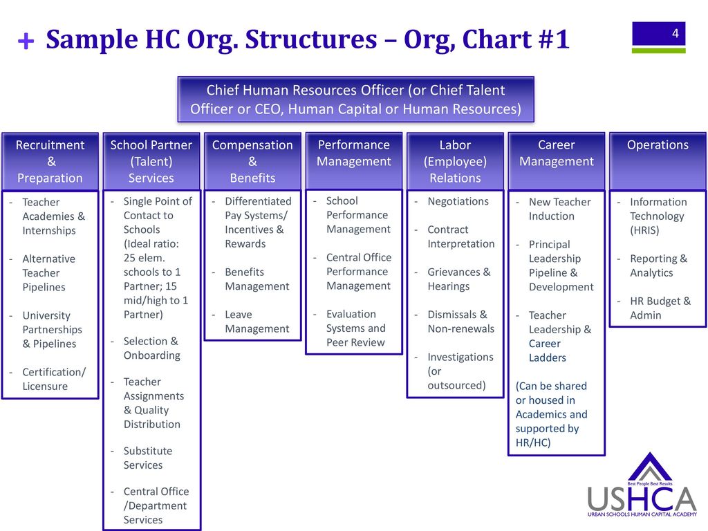 Sample HC Organizational Structures - ppt download