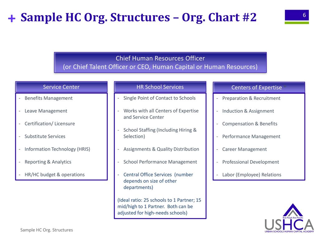 Information Technology Org Chart Samples
