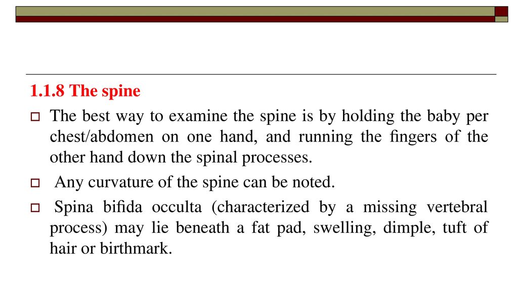 8 directional running spine2d 8 directional running spine2d