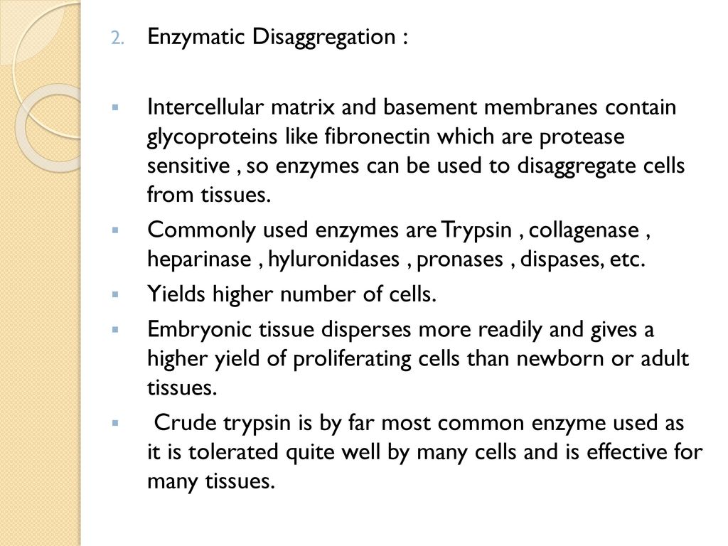 Animal Cell Culture Presentation - ppt download Animal Cell Culture Presentation - ppt download