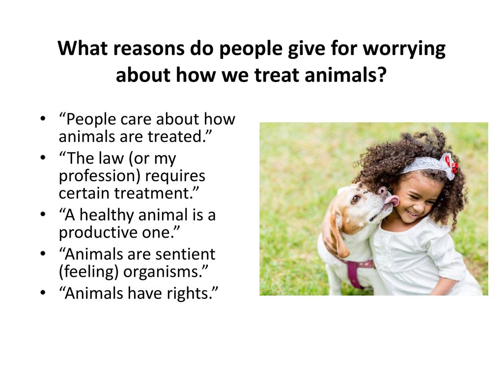 Philosophical approaches to animal ethics - ppt download