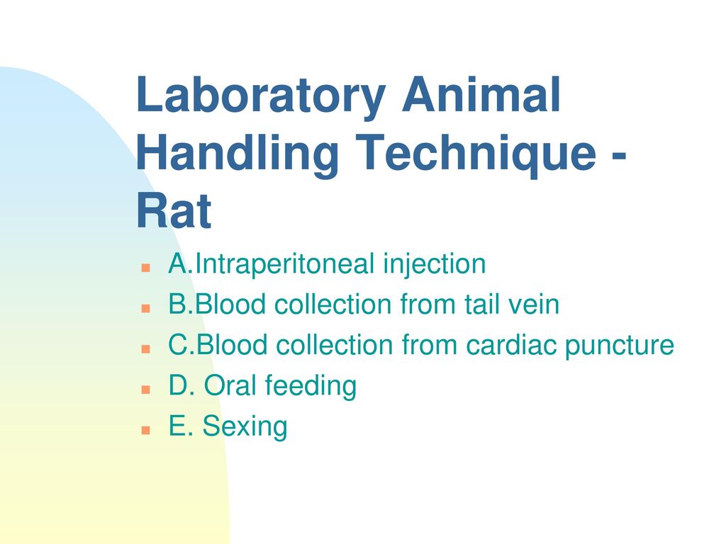 Laboratory Animal Handling Technique and routes of drug administration -  ppt download