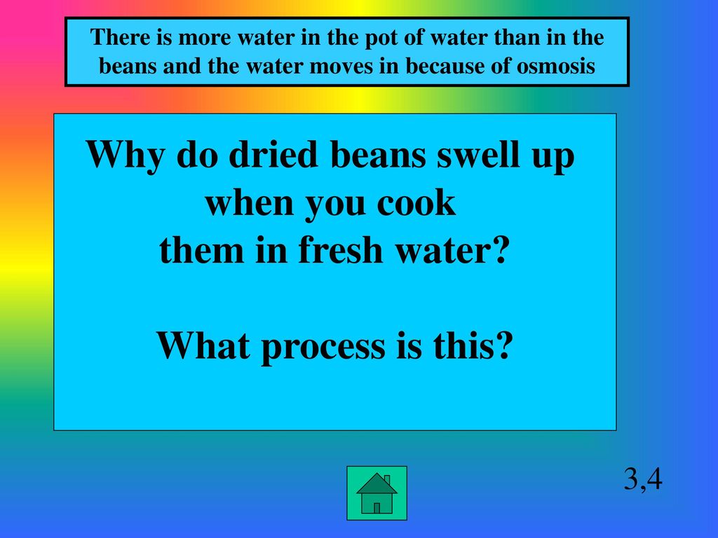 Cell Processes Osmosis Diffusion Photosynthesis And Respiration cell-processes-osmosis-diffusion-photosynthesis-and-respiration